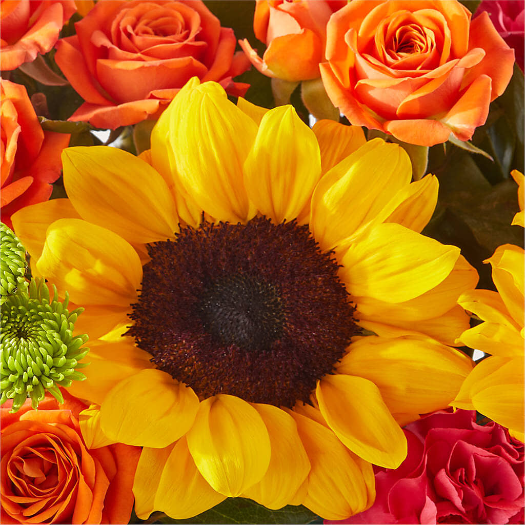 Sun-drenched Blooms Box Bouquet –  Showcase Flowers, San Francisco CA