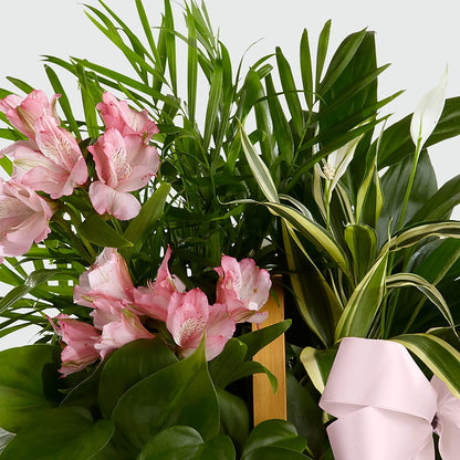 Living Spirit Dishgarden –  Showcase Flowers, San Francisco CA