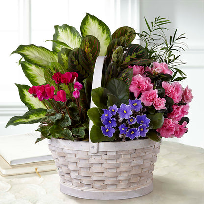 Peaceful Garden Planter –  Showcase Flowers, San Francisco CA