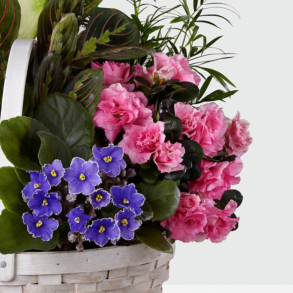Peaceful Garden Planter –  Showcase Flowers, San Francisco CA