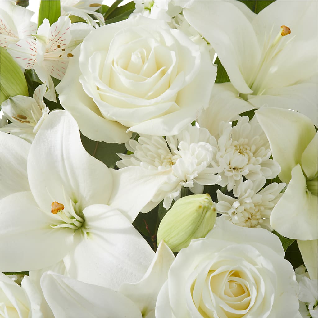 Peaceful Reflections Arrangement –  Showcase Flowers, San Francisco CA