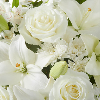 Peaceful Reflections Arrangement –  Showcase Flowers, San Francisco CA