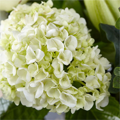Classic Ivory – A Florist Original –  Showcase Flowers, San Francisco CA