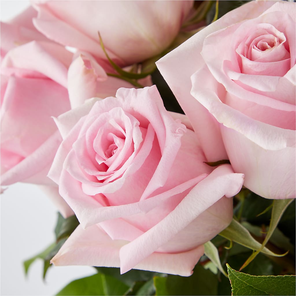 Picture Perfect Pink Rose Bouquet –  Showcase Flowers, San Francisco CA