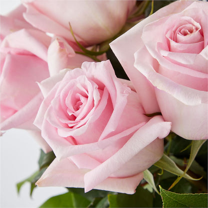 Picture Perfect Pink Rose Bouquet –  Showcase Flowers, San Francisco CA