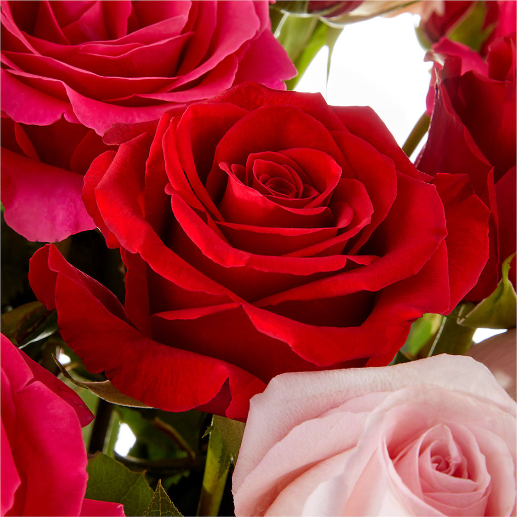 Love Notes Rose Bouquet –  Showcase Flowers, San Francisco CA