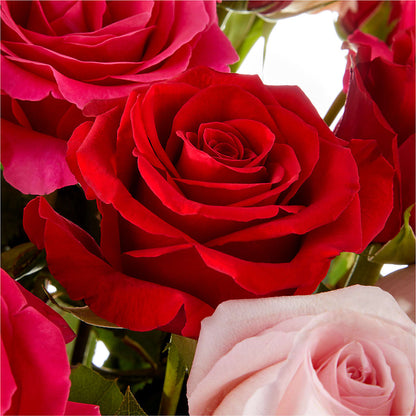 Love Notes Rose Bouquet –  Showcase Flowers, San Francisco CA
