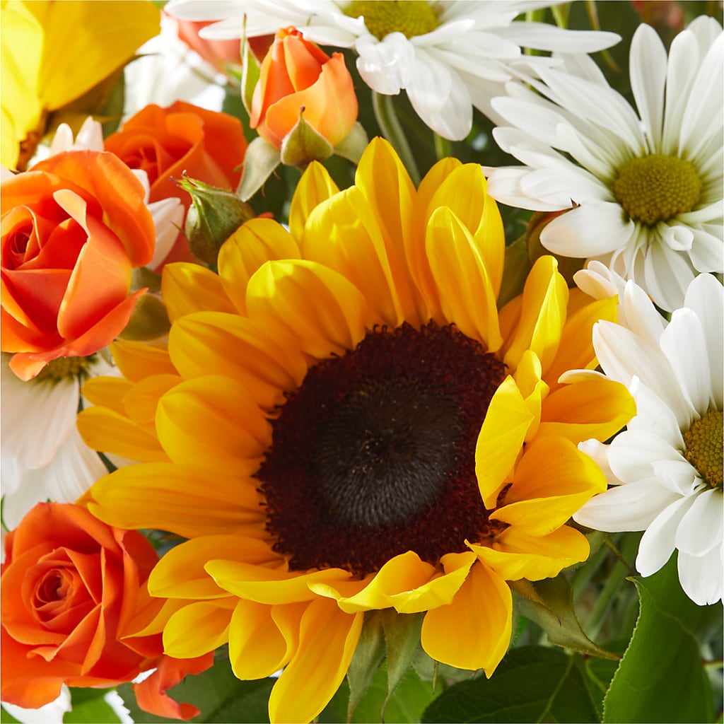 Sun-drenched Blooms Bouquet –  Showcase Flowers, San Francisco CA