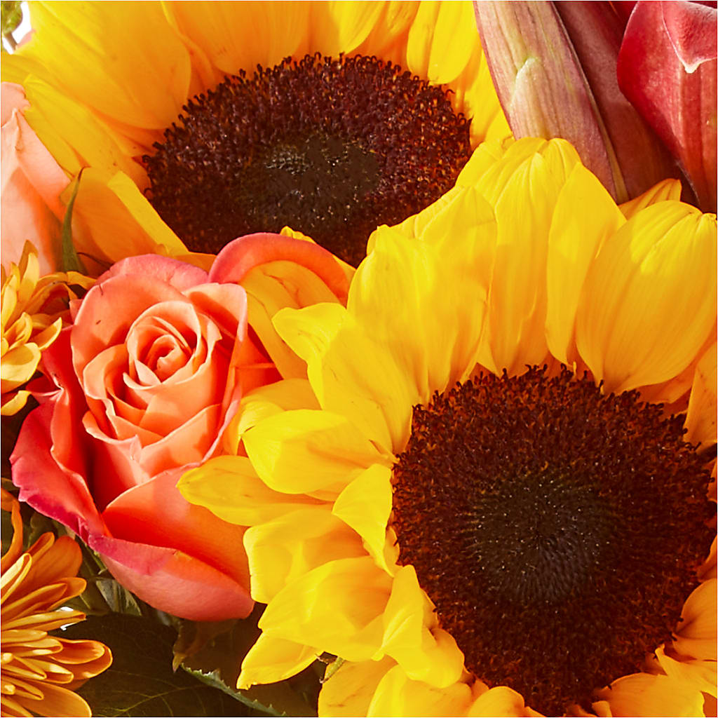 Acorn Lane Bouquet –  Showcase Flowers, San Francisco CA