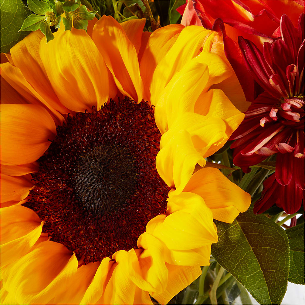 Harvest Festival Bouquet –  Showcase Flowers, San Francisco CA