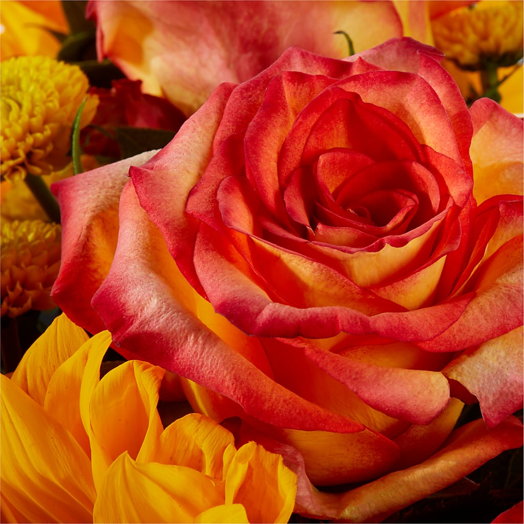 Picnic in the Park Bouquet –  Showcase Flowers, San Francisco CA