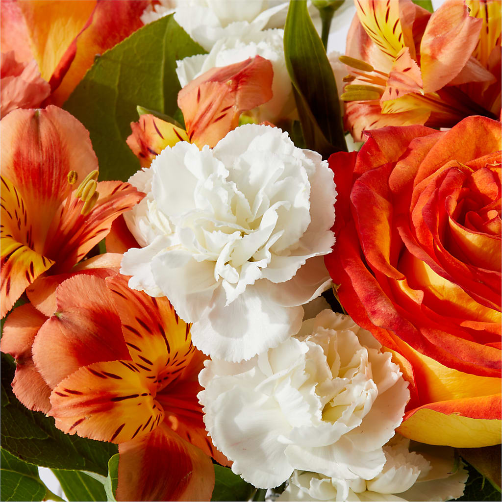 Apricot Glow Bouquet –  Showcase Flowers, San Francisco CA