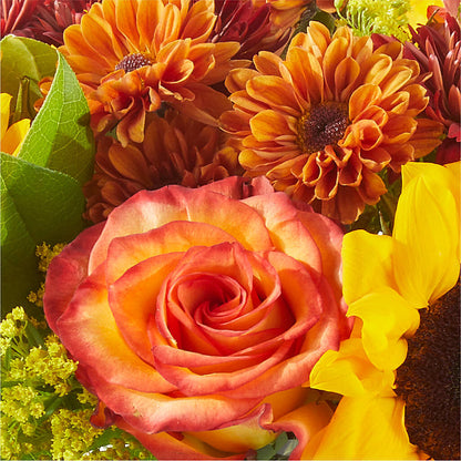 Flannel Scarf Bouquet –  Showcase Flowers, San Francisco CA