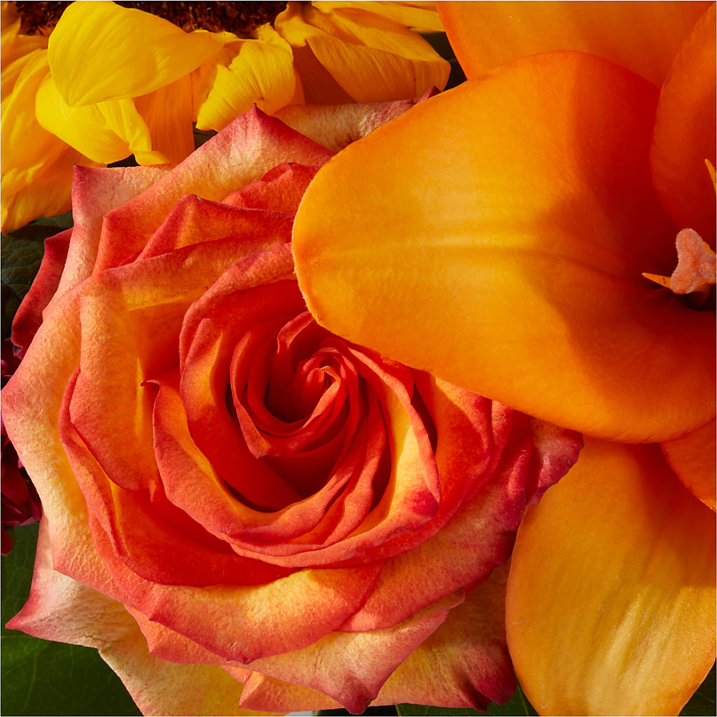 Grateful Centerpiece –  Showcase Flowers, San Francisco CA