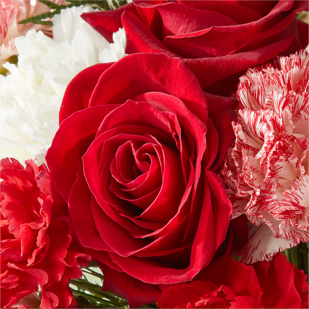 Candy Cane Lane Bouquet –  Showcase Flowers, San Francisco CA