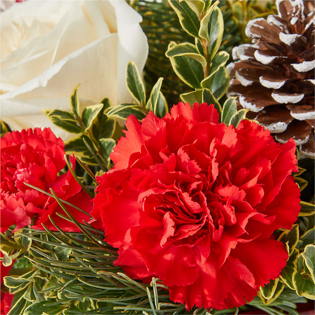 Christmas Market Bouquet –  Showcase Flowers, San Francisco CA