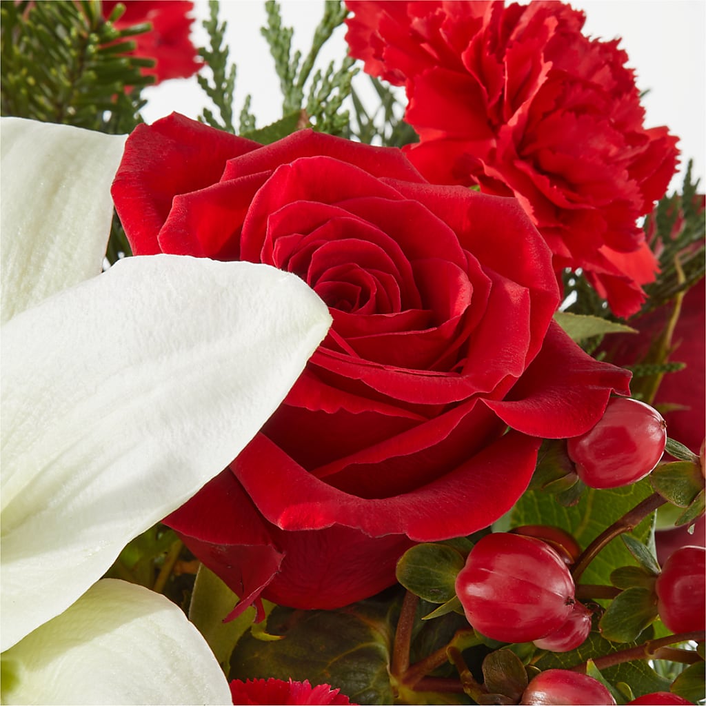 Oh So Jolly Bouquet –  Showcase Flowers, San Francisco CA