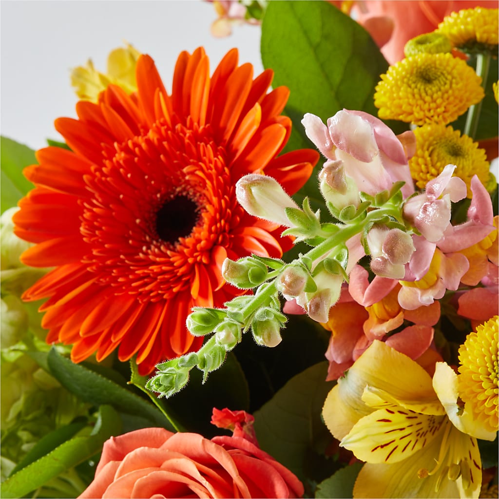 Autumn Sunshine Bouquet –  Showcase Flowers, San Francisco CA