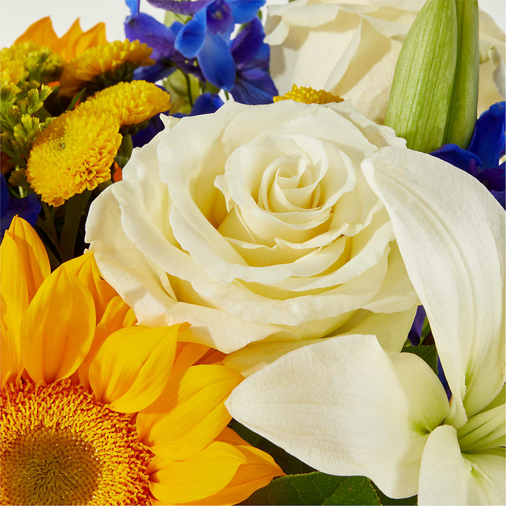 Stargazing Bouquet –  Showcase Flowers, San Francisco CA