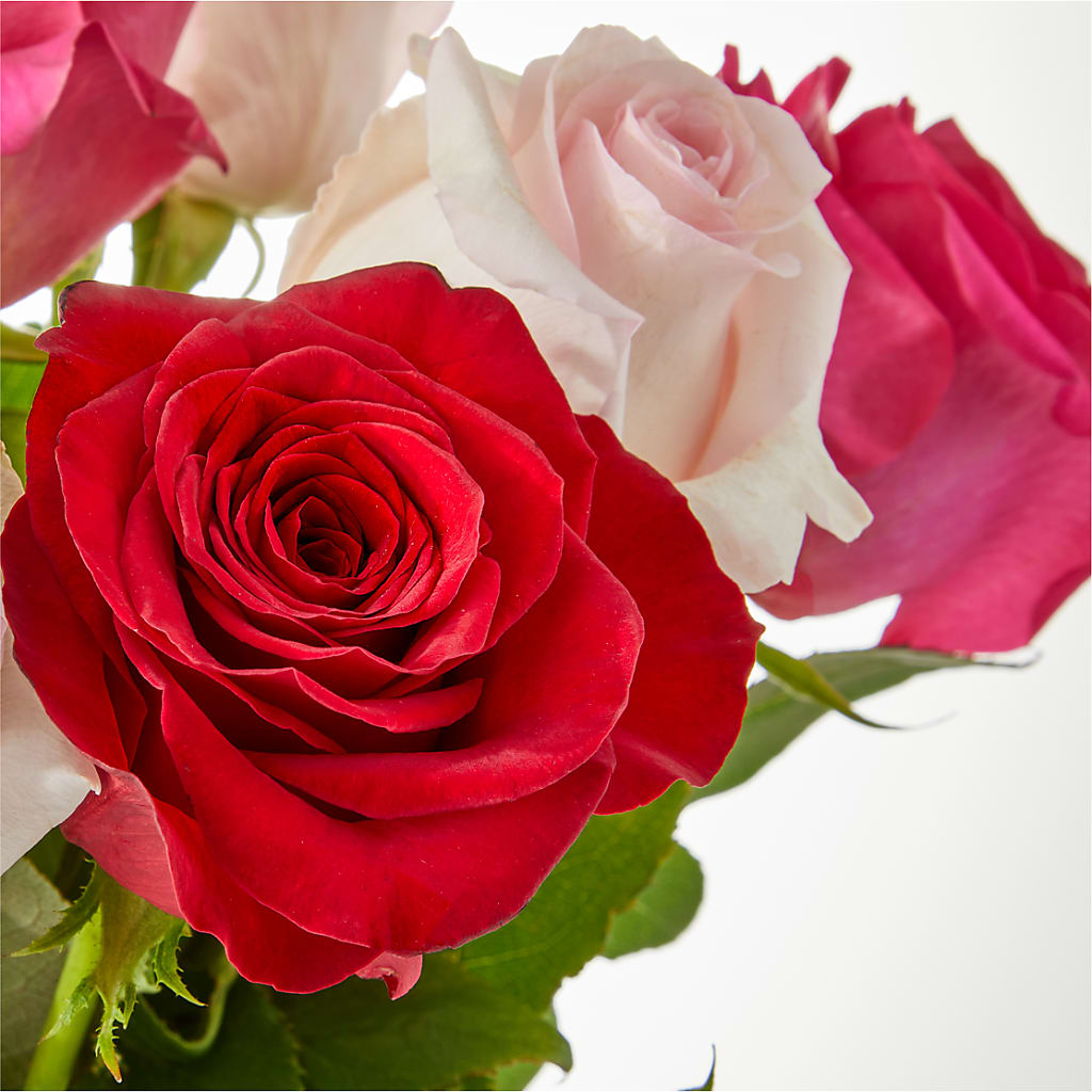 Charming Rose Bouquet –  Showcase Flowers, San Francisco CA