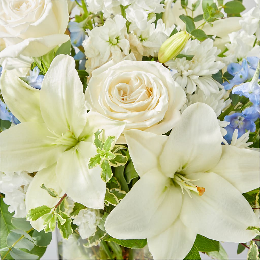 Peace of Mind Bouquet –  Showcase Flowers, San Francisco CA