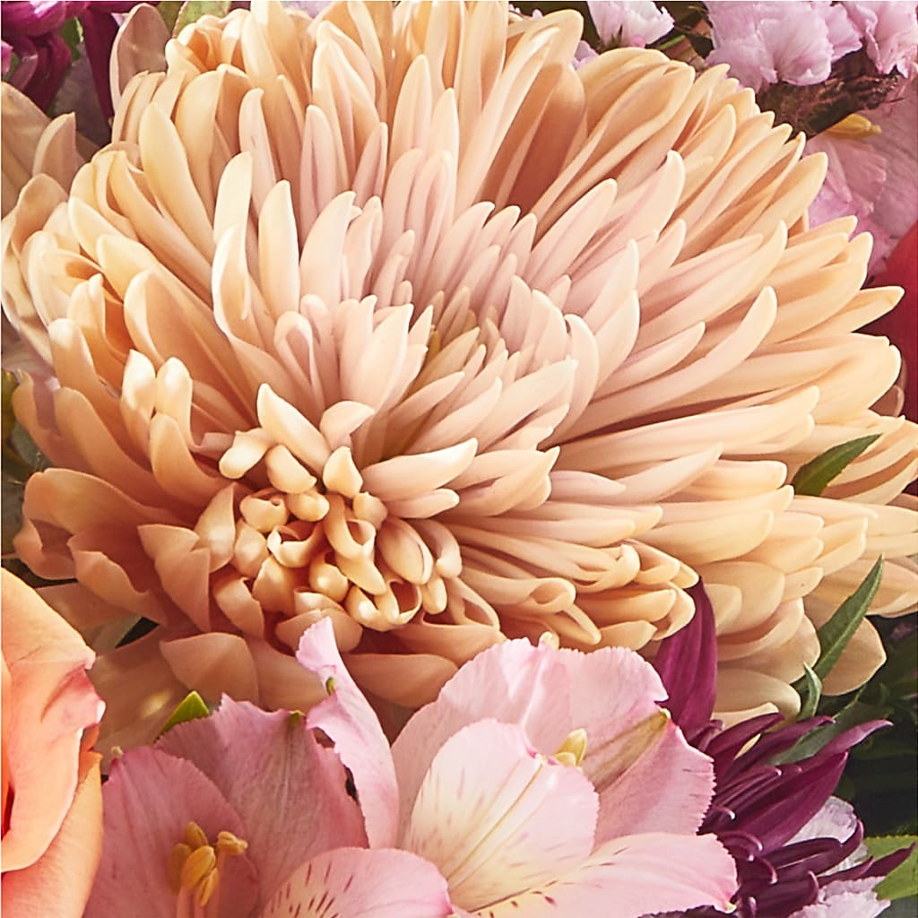 Berry Cobbler Bouquet –  Showcase Flowers, San Francisco CA