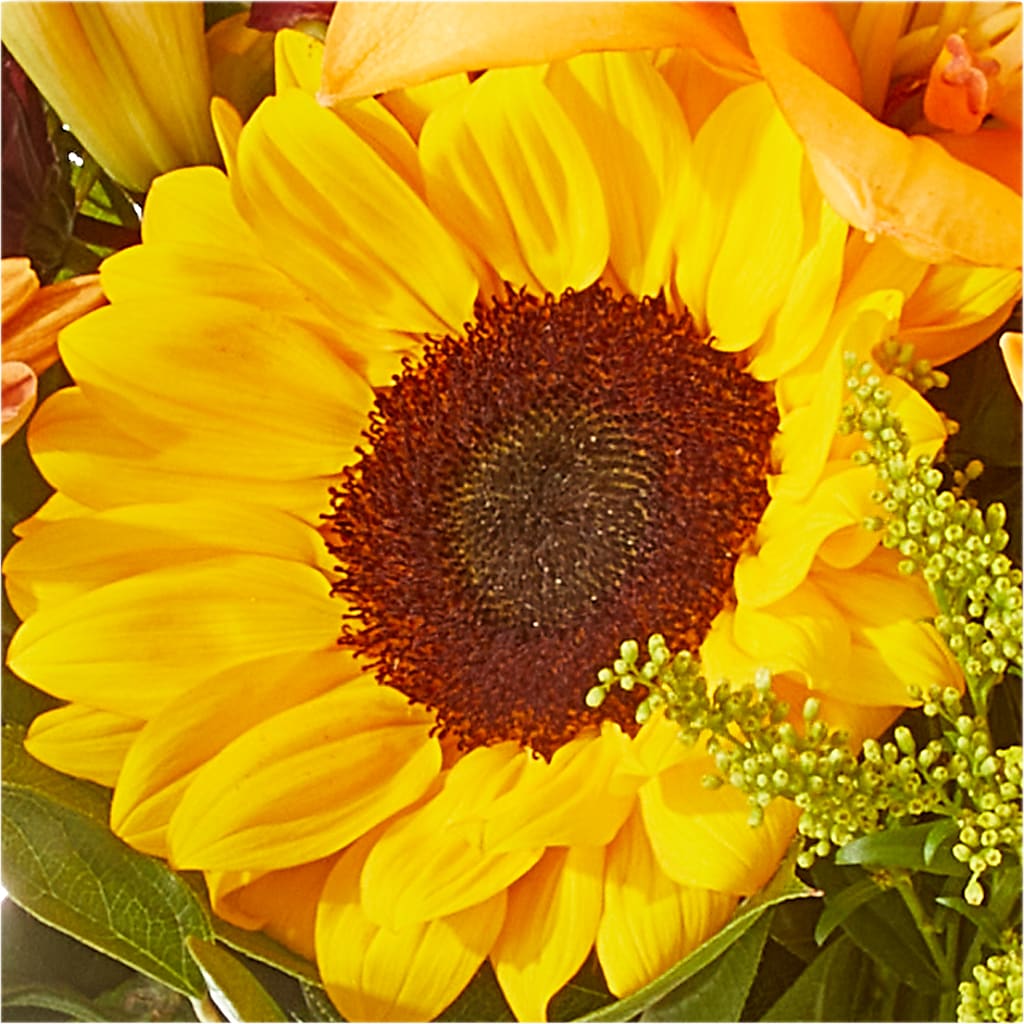 Seasons Change Bouquet –  Showcase Flowers, San Francisco CA