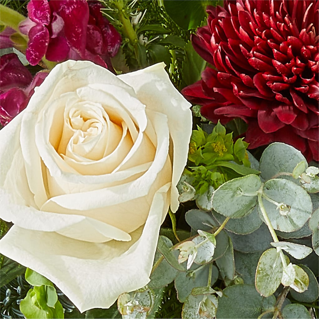 Cranberry Fizz Bouquet –  Showcase Flowers, San Francisco CA