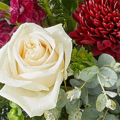 Cranberry Fizz Bouquet –  Showcase Flowers, San Francisco CA