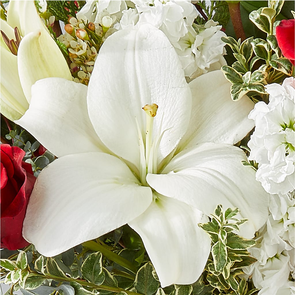 Twinkle Lights Bouquet –  Showcase Flowers, San Francisco CA