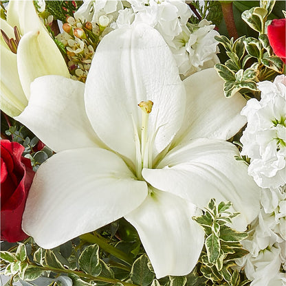 Twinkle Lights Bouquet –  Showcase Flowers, San Francisco CA