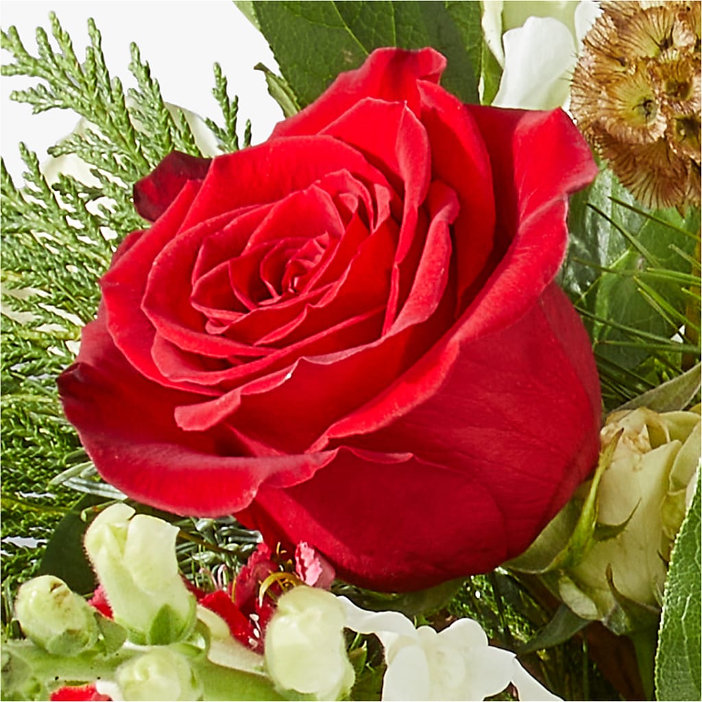 Deck the Halls Bouquet –  Showcase Flowers, San Francisco CA