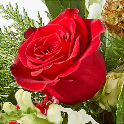 Deck the Halls Bouquet –  Showcase Flowers, San Francisco CA