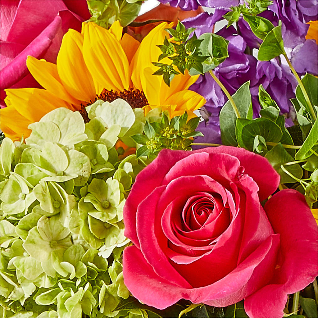 Vibrant Greetings Bouquet –  Showcase Flowers, San Francisco CA