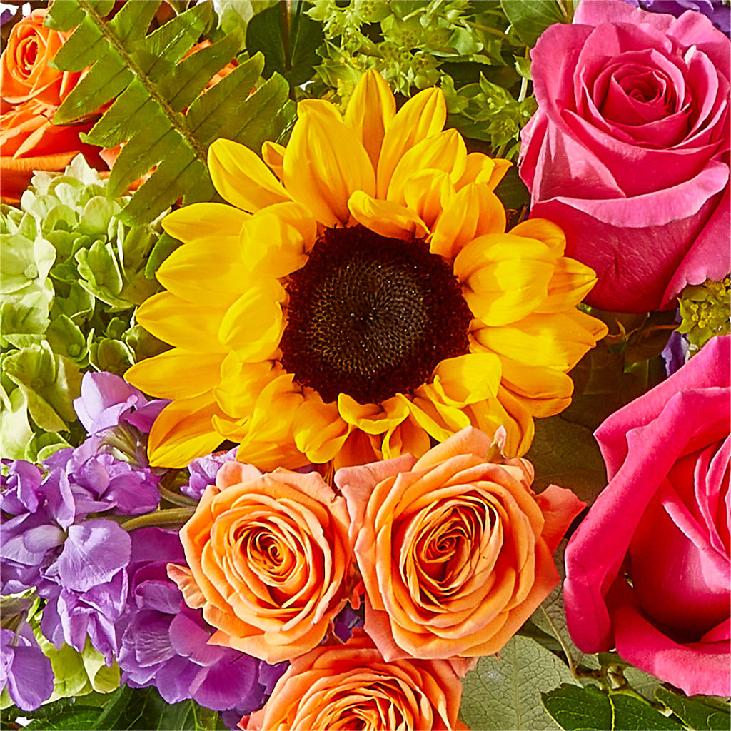 Vibrant Greetings Bouquet –  Showcase Flowers, San Francisco CA