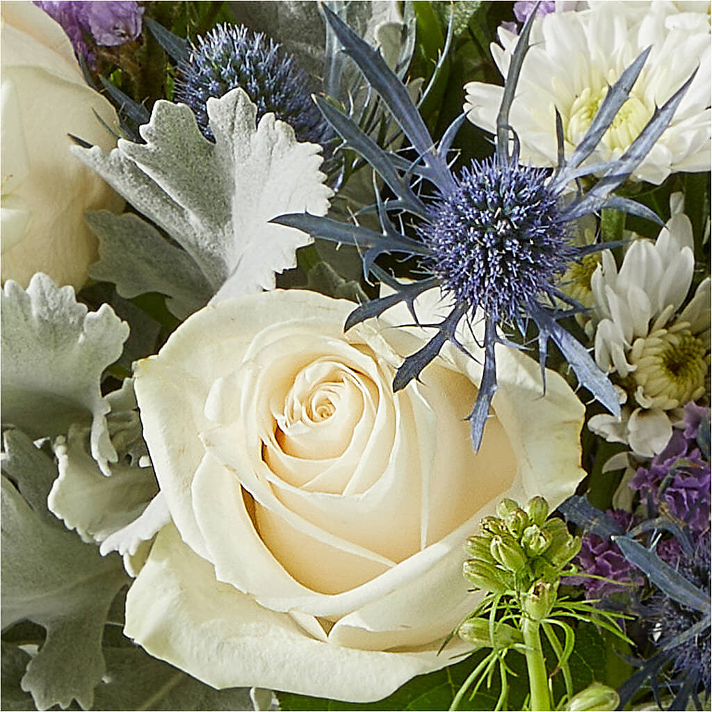 Shooting Star Bouquet –  Showcase Flowers, San Francisco CA