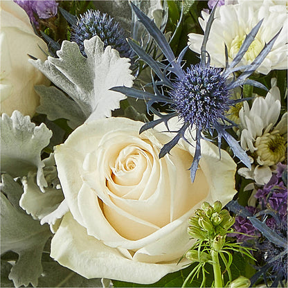 Shooting Star Bouquet –  Showcase Flowers, San Francisco CA
