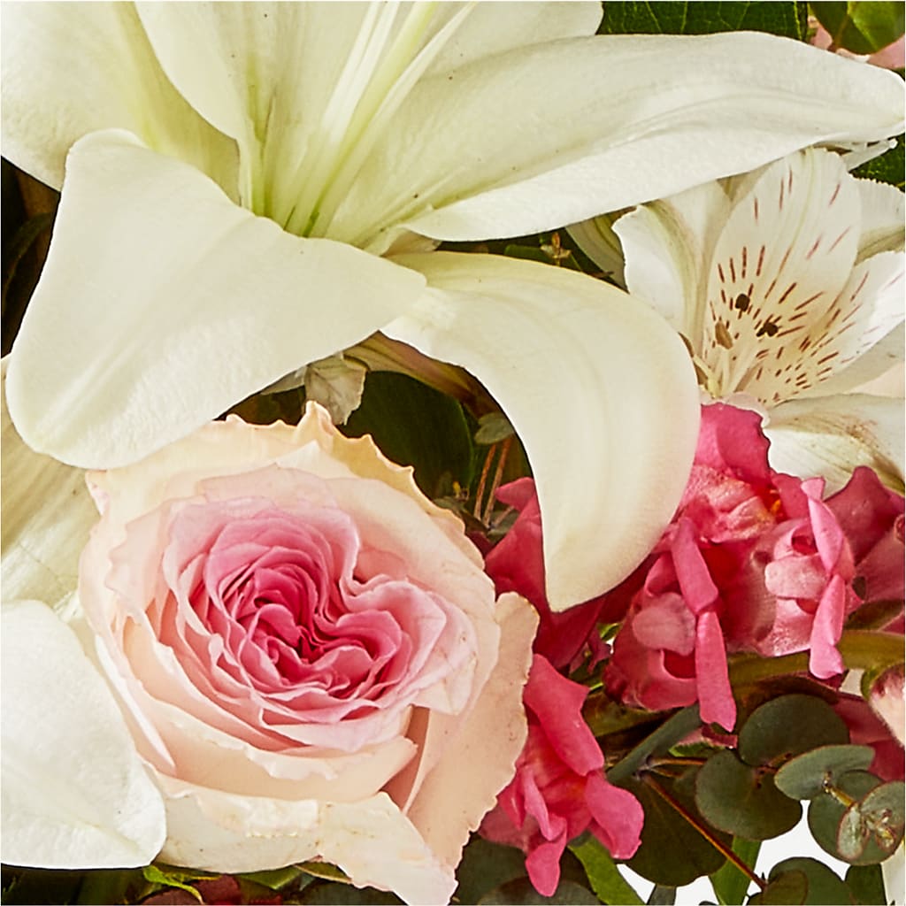 Ballet Slippers Bouquet –  Showcase Flowers, San Francisco CA
