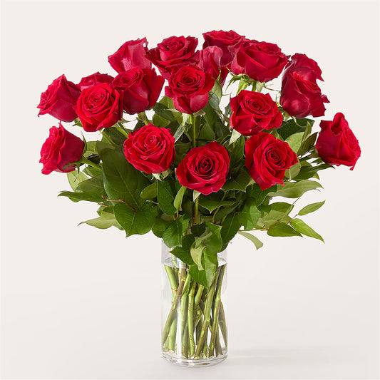 The One Red Rose Bouquet –  Showcase Flowers, San Francisco CA