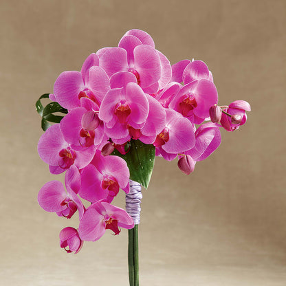 Glorious Bouquet –  Showcase Flowers, San Francisco CA