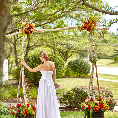 Arbor of Love Archway –  Showcase Flowers, San Francisco CA