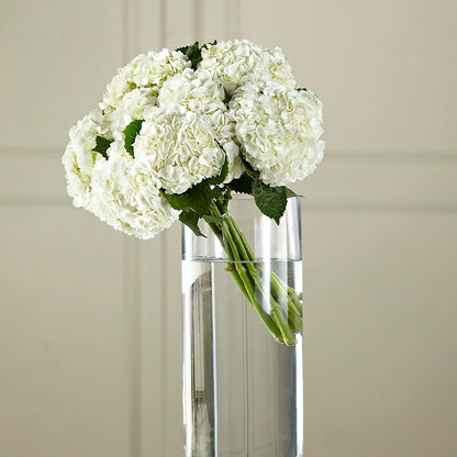 White Hydrangea Hand-Tied Bouquet –  Showcase Flowers, San Francisco CA