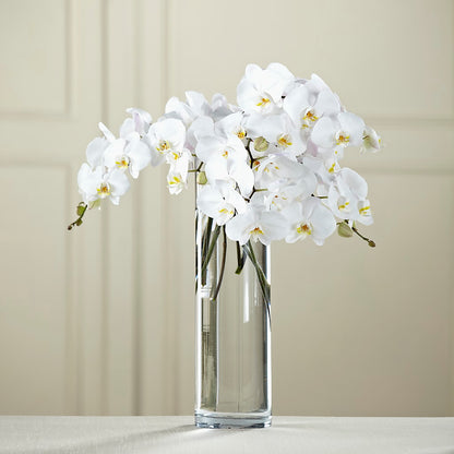 White Phalaenopsis Bouquet –  Showcase Flowers, San Francisco CA