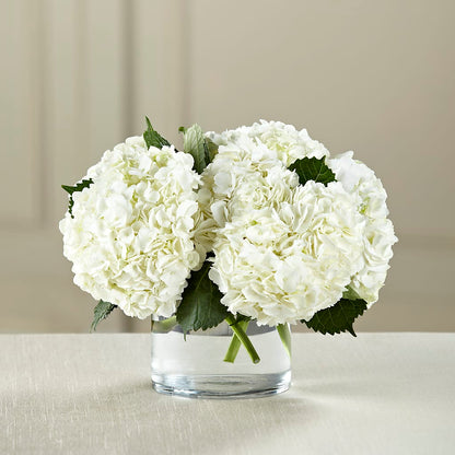 White Hydrangea Bouquet –  Showcase Flowers, San Francisco CA