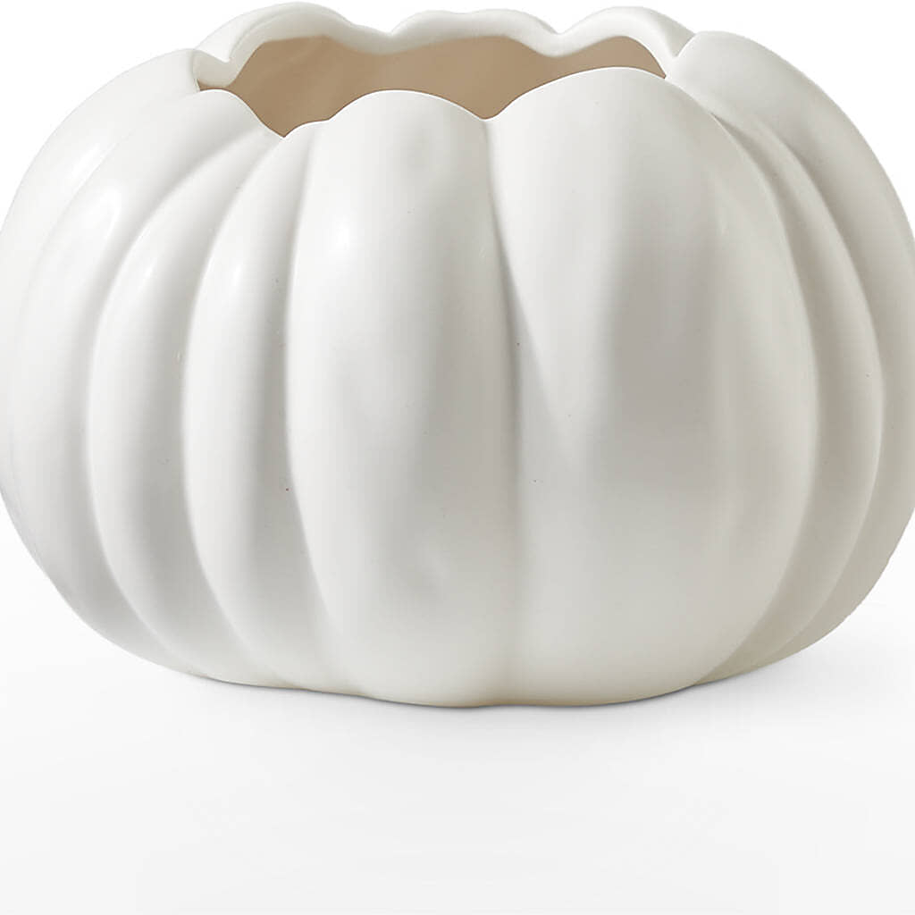 Pumpkin to Talk About Bouquet –  Showcase Flowers, San Francisco CA
